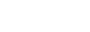 senua-text